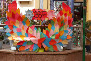 WhatsApp-Image-2026-02-11-at-3.02.47-PM